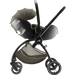 Britax RIO Urban Olive