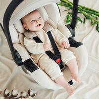 Car Seat Accessories